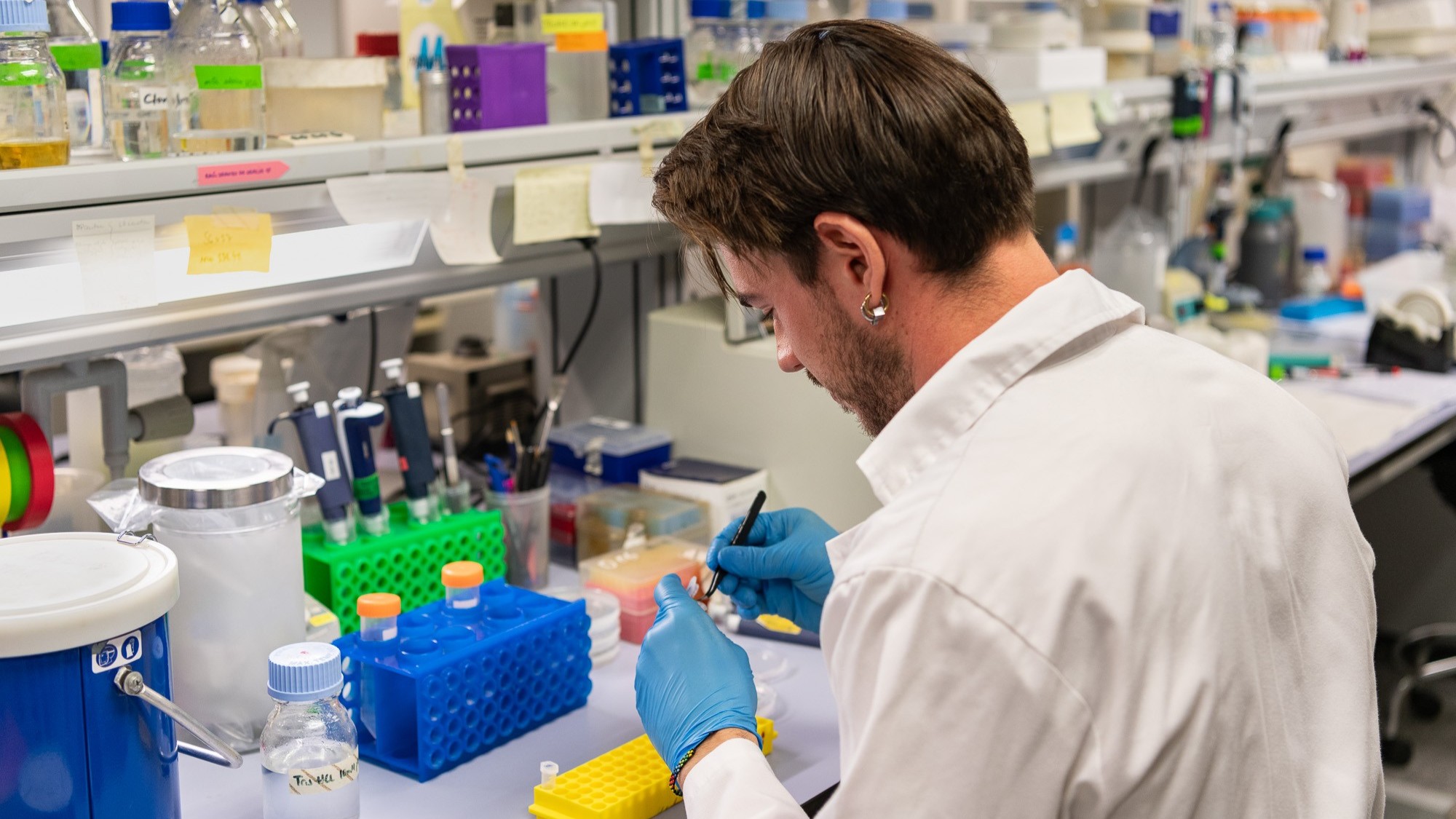 Pablo Pérez Colao, autor principal del trabajo, en el laboratorio del IBMCP. UPV.jpg